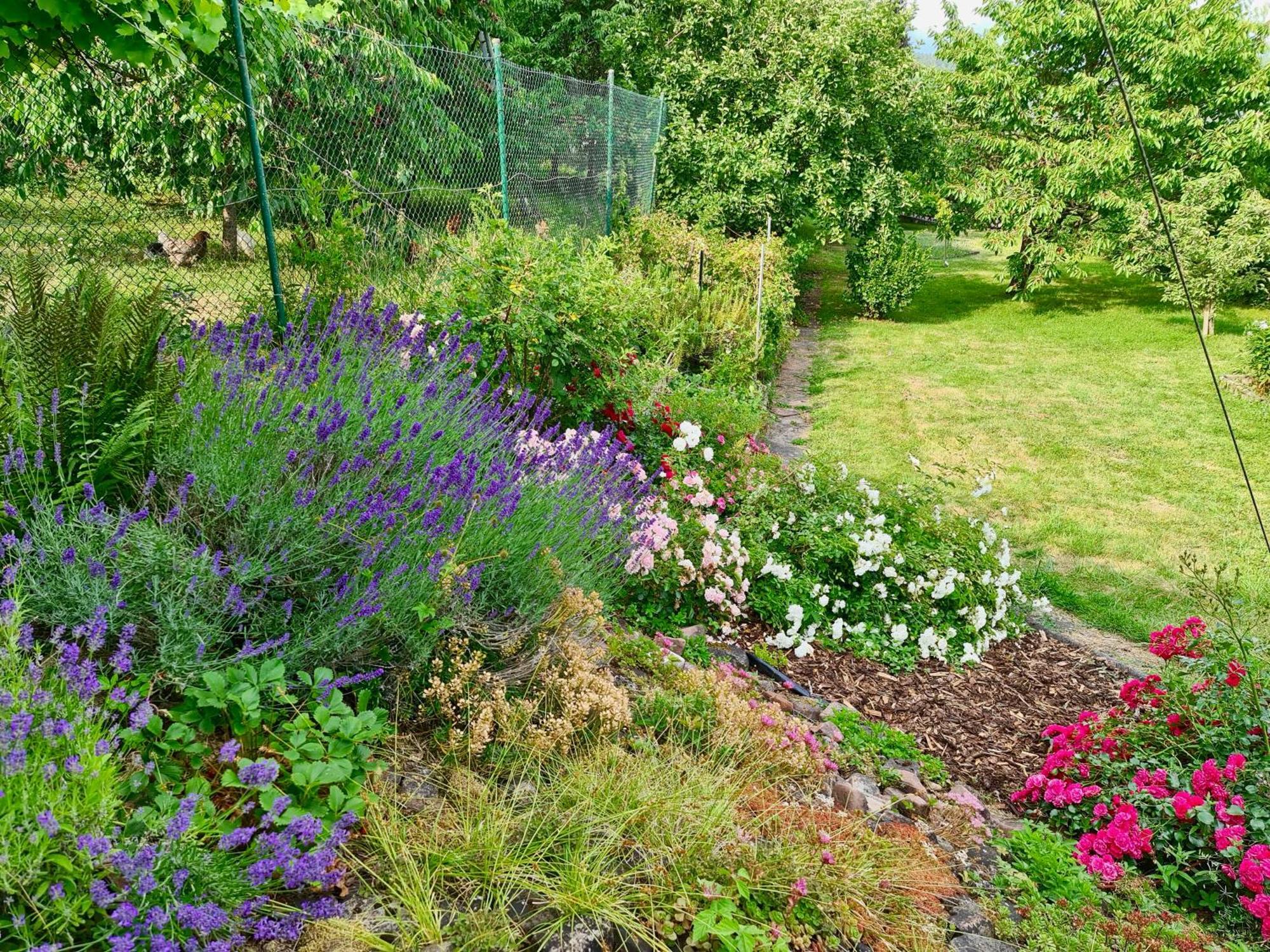 Ferienwohnung Kespergarten Витценхаузен Экстерьер фото